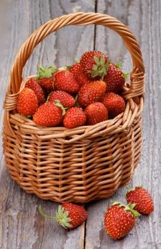 Forest Strawberries Stock Photos