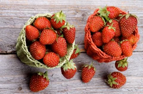 Forest Strawberries Stock Photos