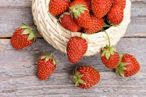 Forest Strawberries Stock Photos