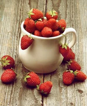 Forest Strawberries Stock Photos