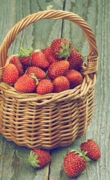 Forest Strawberries Stock Photos