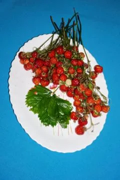 Forest strawberries Stock Photos