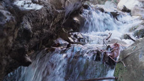 Forest Stream 4K CU with sound Stock Footage 246059808