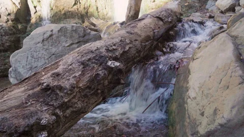 Forest Stream 4K medium shot Stock Footage 246059435