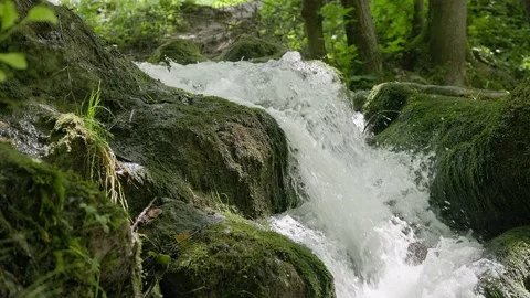 Forest stream among stones in moss Stock Footage 256927201