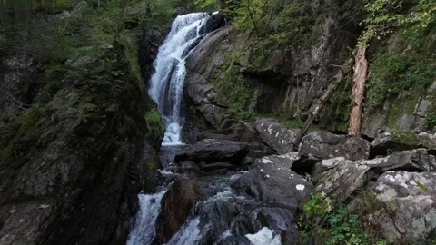 Forest stream and waterfall Stock Footage 267129958