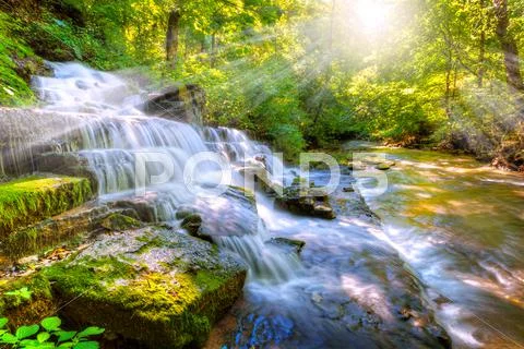 Forest stream and waterfall Stock Photos