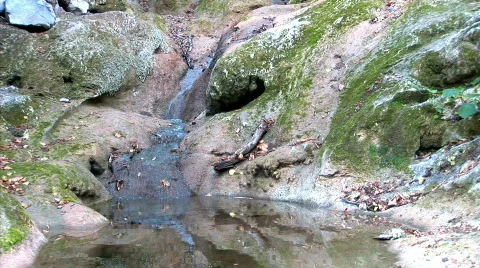 Forest stream in autumn 1 Video stock 526590