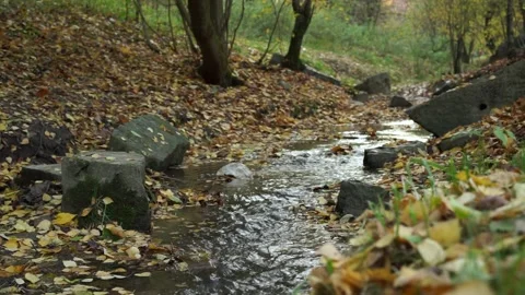Forest stream in the autumn forest. Leaf fall, river with large boulders. Stock Footage 219702201