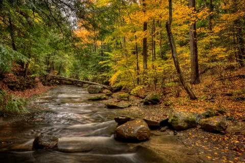 Forest stream in autumn Stock Photos