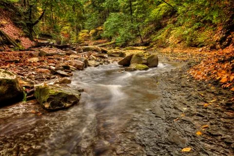 Forest stream in autumn Stock Photos
