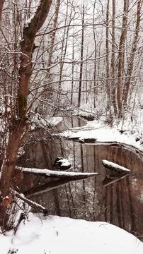 Forest stream with brown water flows through the snowy forest Stock Photos
