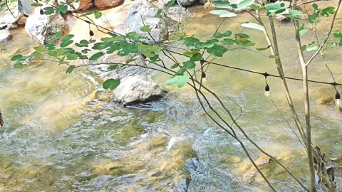 Forest stream with campsite string lights. Stock Footage 341266090