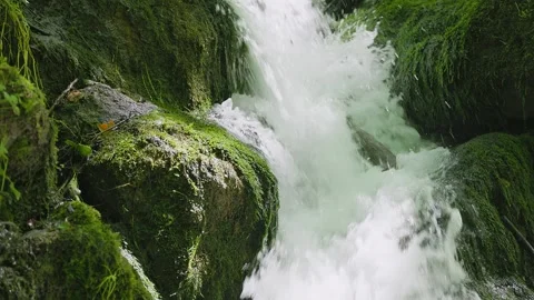 Forest stream cascades as a waterfall over moss-covered stones Video stock 259742435
