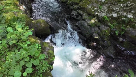 Forest Stream Cascading over Mossy Rocks, Izu, Japan (4K) Stock Footage 341364822