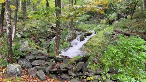 Forest Stream Cascading Over Stone Wall in Autumn Woods Stock Footage 346625651