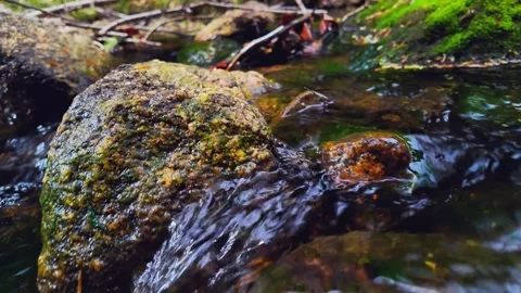 Forest Stream Close-Up: Flowing Water Over Mossy Rocks, Natural Environment Video stock 308725622