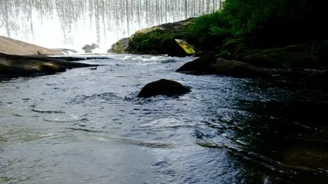 Forest Stream - Dark water flows around rock Wide - Slow motion Stock Footage 244362106
