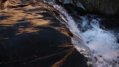 Forest stream detail Stock Footage 77100877