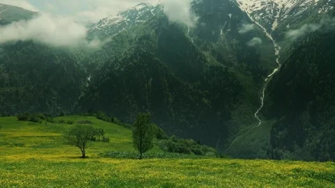 Forest stream drone, cinematic river canyon, lush green valley Stock Footage 311419366