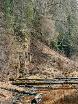 Forest Stream with Fallen Logs and Eroded Cliff Landscape Stock Photos