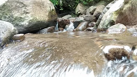 Forest Stream Flow Over Rocks Calm Natural Water Scene Stock Footage 330581882