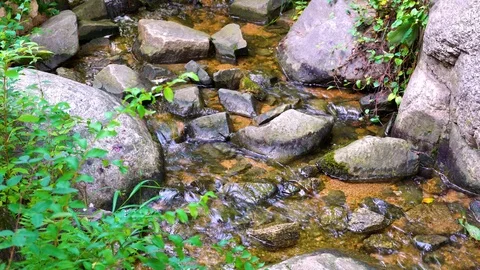 Forest stream flowing among stones and green grass. Natural pacifying scene. Stock Footage 120615751