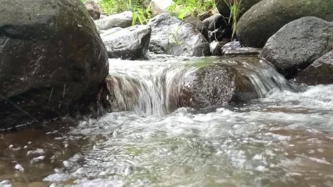 Forest Stream Flowing Around Rocks – Fresh Natural Water Scene Stock Footage 330561314