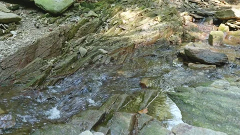 Forest Stream Flowing Between Mossy Rocks Video stock 330943123