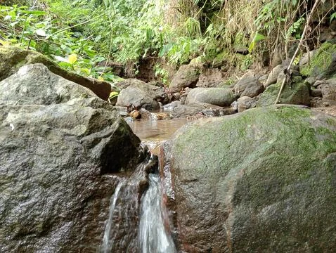 Forest Stream Flowing Between Rocks – Clear Natural Water Scene Stock Photos