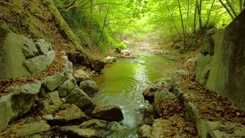 Forest stream flowing between stone reinforcement walls under green trees Stock Footage 334868848