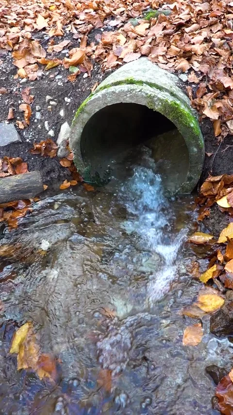 A forest stream flowing from a concrete pipe in an autumn forest Stock Footage 254978584