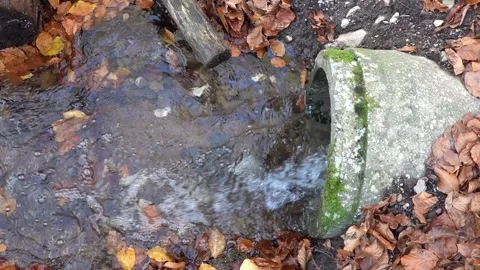 A forest stream flowing from a concrete pipe in an autumn forest Stock Footage 254978841