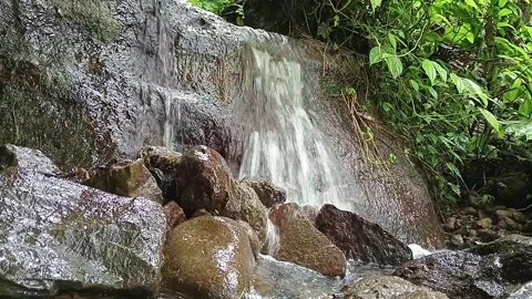 Forest Stream Flowing Naturally Over Rocks – Calm Water Scene Stock Footage 329778917