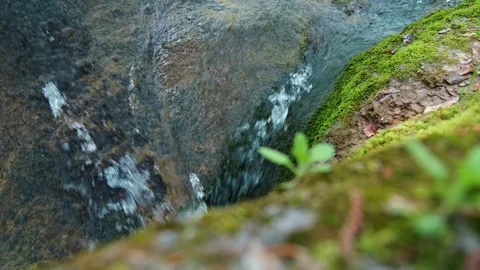 Forest Stream Flowing Over Mossy Rocks with Natural Sound  Relaxing Water A.. Stock Footage 332919692