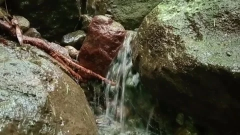 Forest Stream Flowing Over Rocks – Natural Water Movement Close View Stock Footage 329780333
