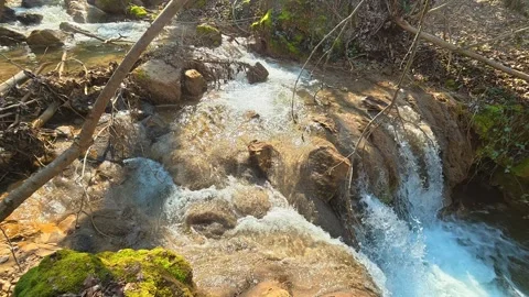 Forest Stream Flowing Over Rocks – Mini Waterfall Slow Pan Video stock 330662669