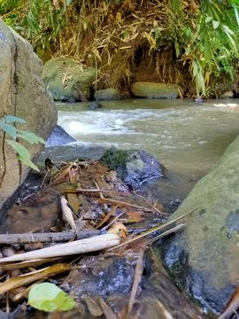 Forest Stream Flowing Through Rocks Foto stock