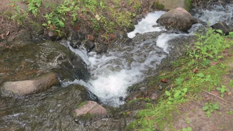 A forest stream flows between the moss rocks Stock Footage 95969206