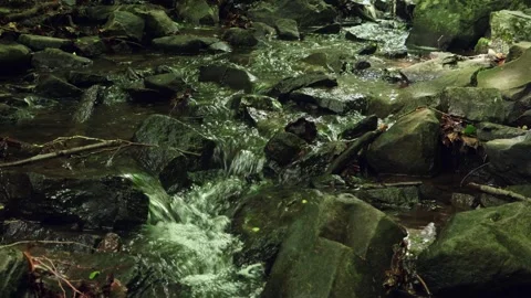 A forest stream flows between stones 스톡 동영상 275572540