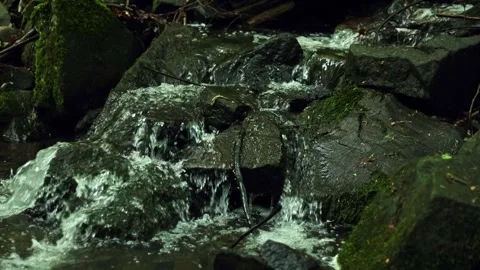 A forest stream flows between stones 스톡 동영상 275572990