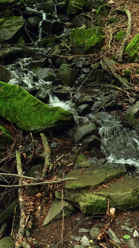 A forest stream flows between stones 스톡 동영상 275573674