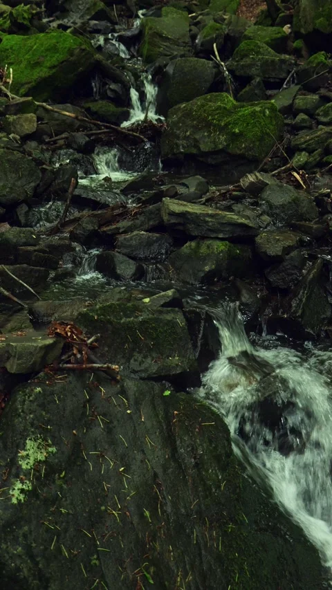 A forest stream flows between stones 스톡 동영상 275573677