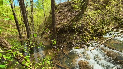 Forest stream flows over rocks. Balkan, Eastern Europe, POV Video stock 333587373