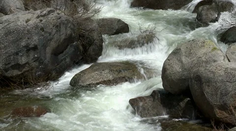 Forest Stream Stock Footage 8564645