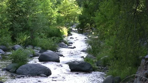 Forest Stream Stock Footage 11046965