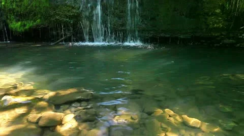 Forest stream Stock Footage 11892279