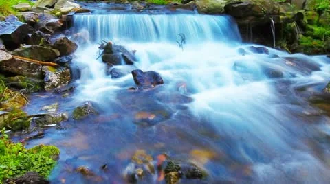 Forest stream Stock Footage 20479164