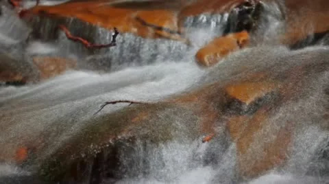 Forest stream Stock-Footage 21290650