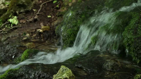 Forest stream Stock Footage 22707312